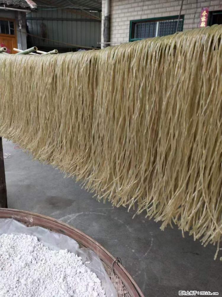 【灌阳正宗红薯粉】美女家里自己做的，干净卫生，假一赔十，价格合理，抢购电话：13737312895 - 土特产 - 饮食特产 - 酒泉分类信息 - 酒泉28生活网 jq.28life.net
