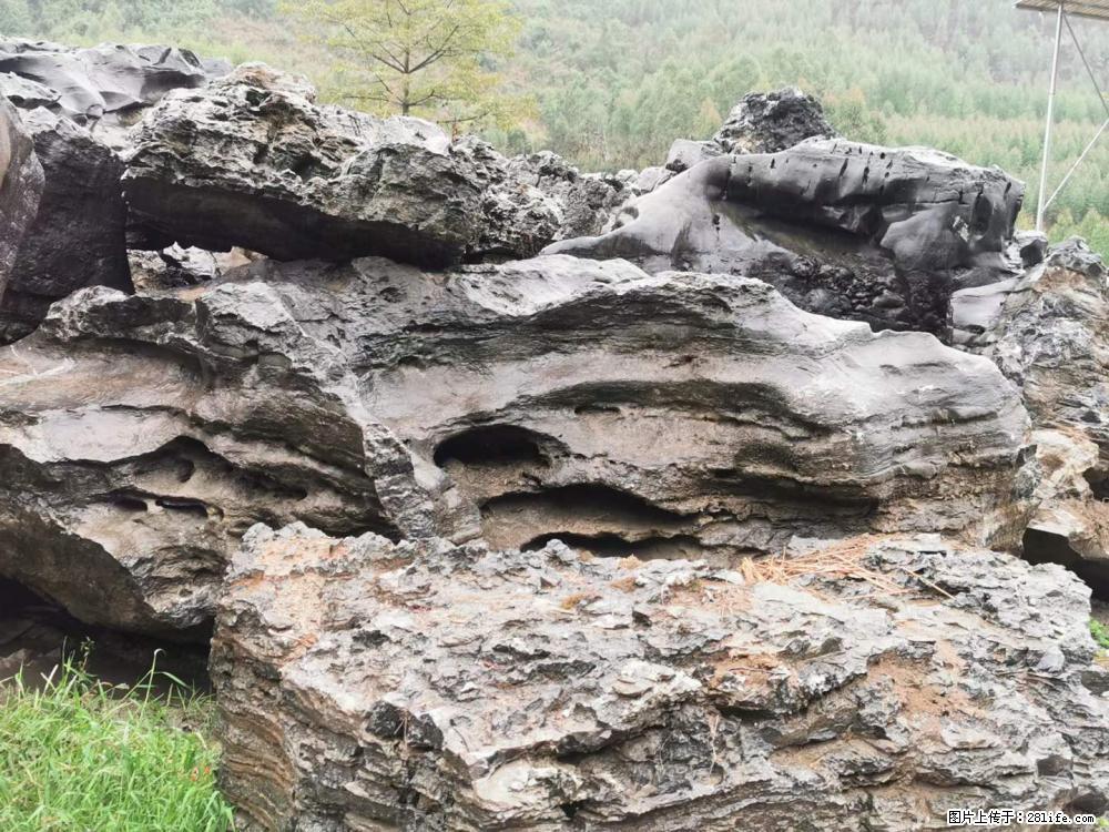风景石、假山石大量有货，有需要的欢迎联系 - 新手上路 - 酒泉生活社区 - 酒泉28生活网 jq.28life.net
