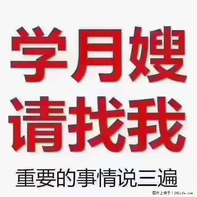 为什么要学习月嫂,育婴师? - 新手上路 - 酒泉生活社区 - 酒泉28生活网 jq.28life.net