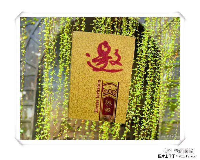 【春天，广西桂林灌阳县向您发出邀请！】开篇 - 游山玩水 - 酒泉生活社区 - 酒泉28生活网 jq.28life.net