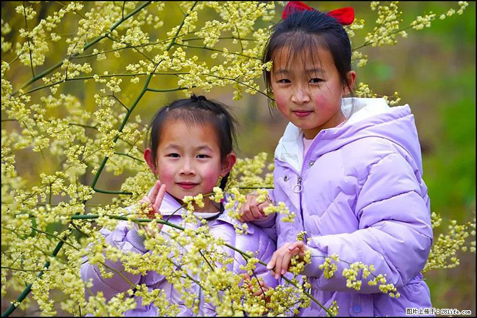【春天，广西桂林灌阳县向您发出邀请！】米珠山前有片山苍子花在飘香 - 游山玩水 - 酒泉生活社区 - 酒泉28生活网 jq.28life.net