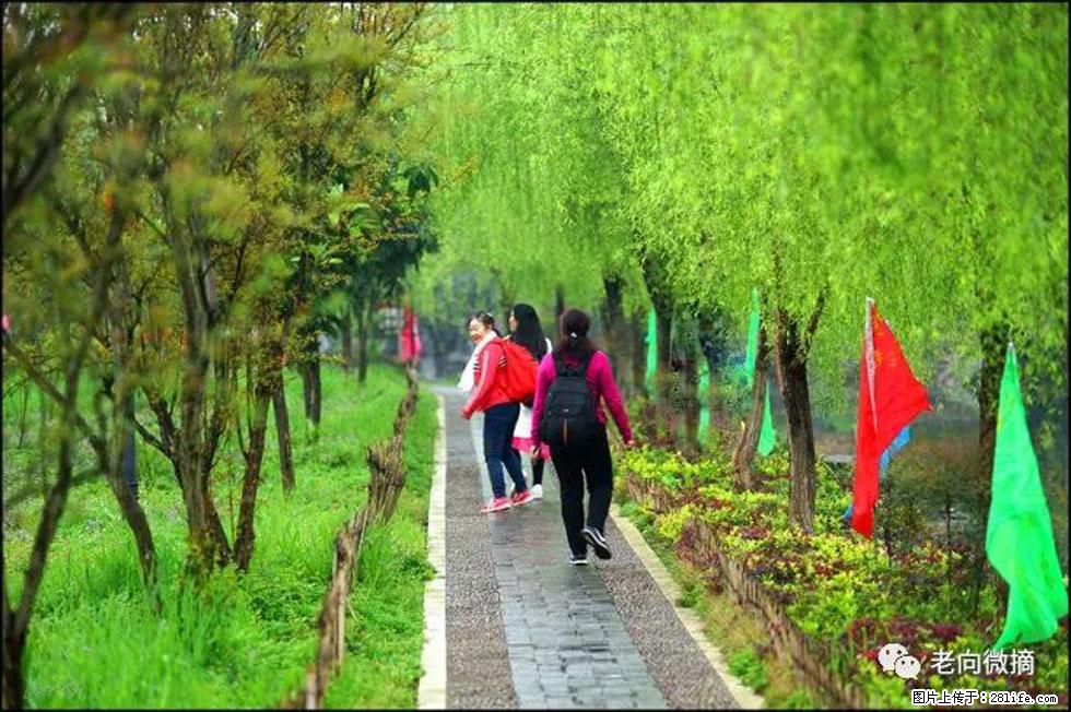 【春天,广西桂林灌阳县向您发出邀请!】江口老街又逢春 - 游山玩水 - 酒泉生活社区 - 酒泉28生活网 jq.28life.net