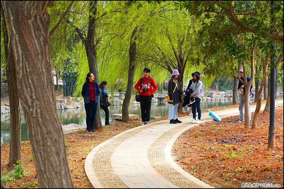 【春天,广西桂林灌阳县向您发出邀请!】江口老街又逢春 - 游山玩水 - 酒泉生活社区 - 酒泉28生活网 jq.28life.net