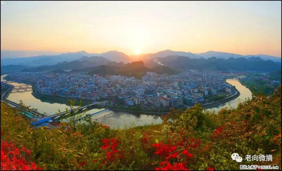 【春天，广西桂林灌阳县向您发出邀请！】登麒麟山，相约映山红 - 游山玩水 - 酒泉生活社区 - 酒泉28生活网 jq.28life.net