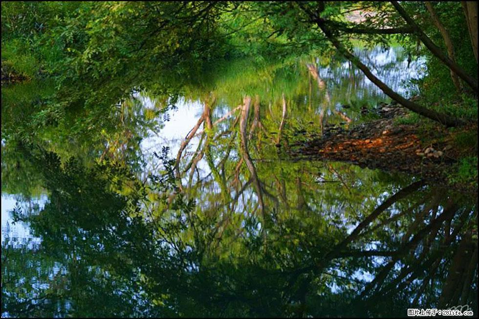 【春天，广西桂林灌阳县向您发出邀请！】熊家寨湿地公园 - 游山玩水 - 酒泉生活社区 - 酒泉28生活网 jq.28life.net