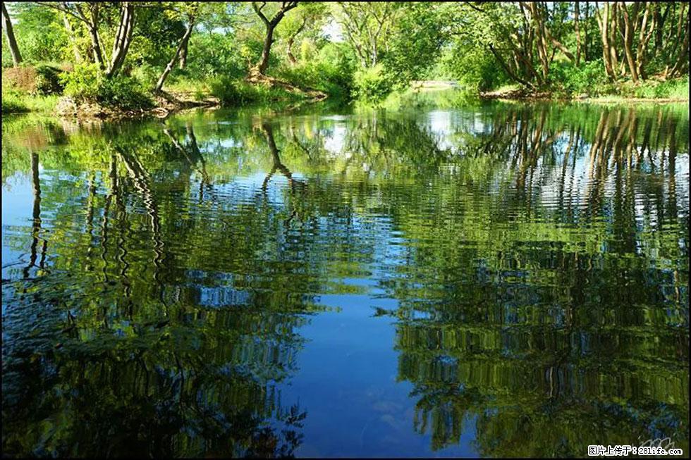 【春天，广西桂林灌阳县向您发出邀请！】熊家寨湿地公园 - 游山玩水 - 酒泉生活社区 - 酒泉28生活网 jq.28life.net