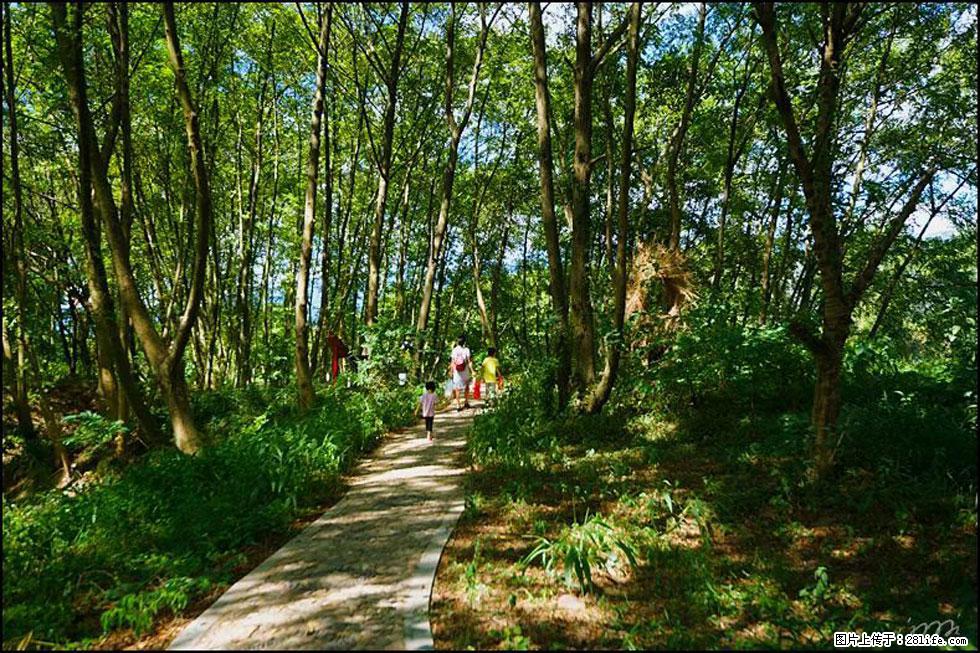 【春天，广西桂林灌阳县向您发出邀请！】熊家寨湿地公园 - 游山玩水 - 酒泉生活社区 - 酒泉28生活网 jq.28life.net