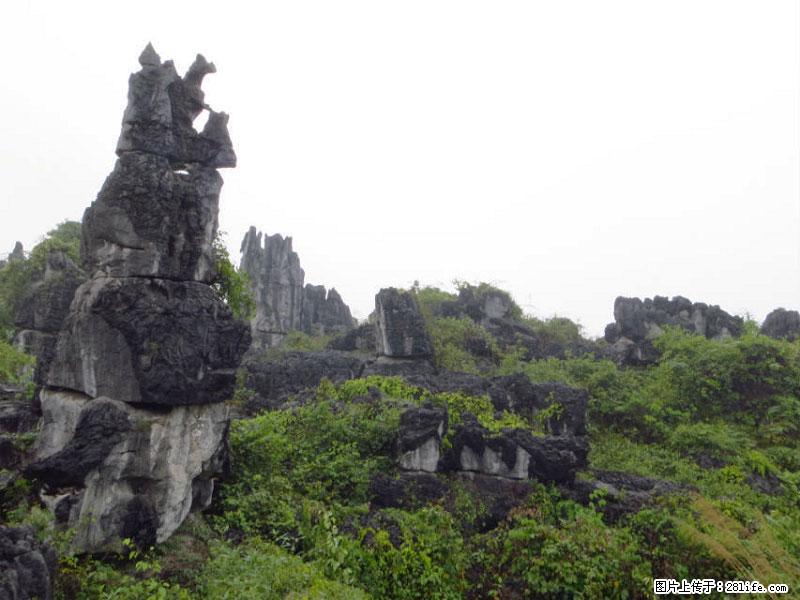 桂林旅游名城景点：灌阳文市石林 - 游山玩水 - 酒泉生活社区 - 酒泉28生活网 jq.28life.net