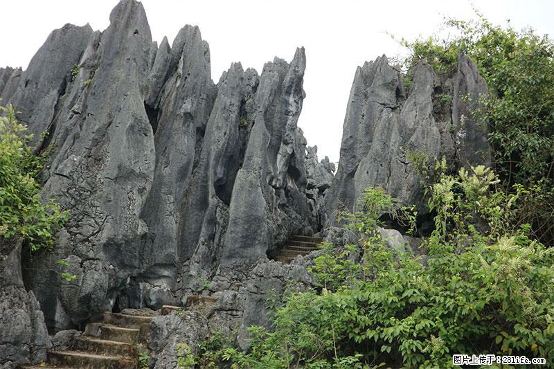 桂林旅游名城景点：灌阳文市石林 - 游山玩水 - 酒泉生活社区 - 酒泉28生活网 jq.28life.net