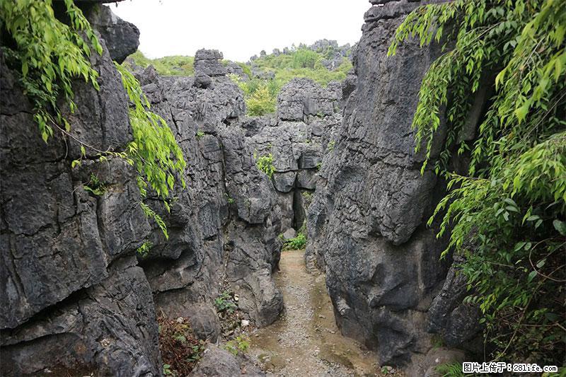 桂林旅游名城景点：灌阳文市石林 - 游山玩水 - 酒泉生活社区 - 酒泉28生活网 jq.28life.net