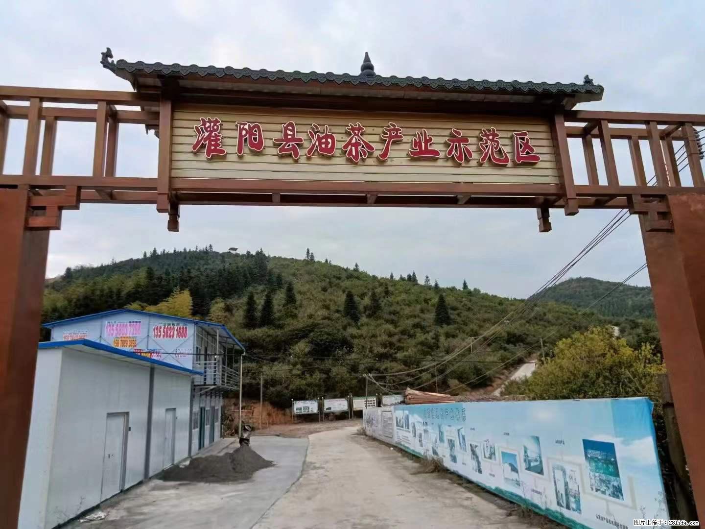 【灌阳县油茶产业示范区】一个有着充实的精神生活的人，对待身外之物自会有一种淡泊的态度 - 美食天地 - 酒泉生活社区 - 酒泉28生活网 jq.28life.net