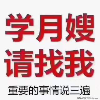 为什么要学习月嫂，育婴师？ - 酒泉28生活网 jq.28life.net