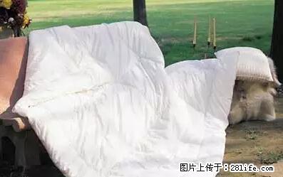 被子有异味?只要这样做,比晒太阳还强100倍! - 家居生活 - 酒泉生活社区 - 酒泉28生活网 jq.28life.net