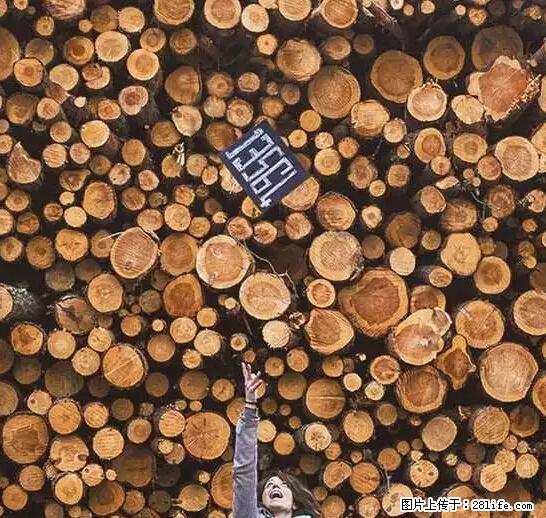 辞掉工作周游世界？现在他们在洗厕所…… - 游山玩水 - 酒泉生活社区 - 酒泉28生活网 jq.28life.net