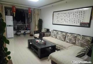 新城区金博园精装房出租 - 酒泉28生活网 jq.28life.net