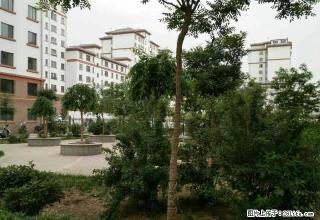 康盛花园1楼带花园带全套家具家电 - 酒泉28生活网 jq.28life.net