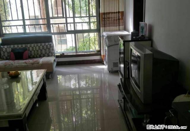 小区环境优越，周边靠近学校医院购物方便 - 房屋出租 - 房屋租售 - 酒泉分类信息 - 酒泉28生活网 jq.28life.net