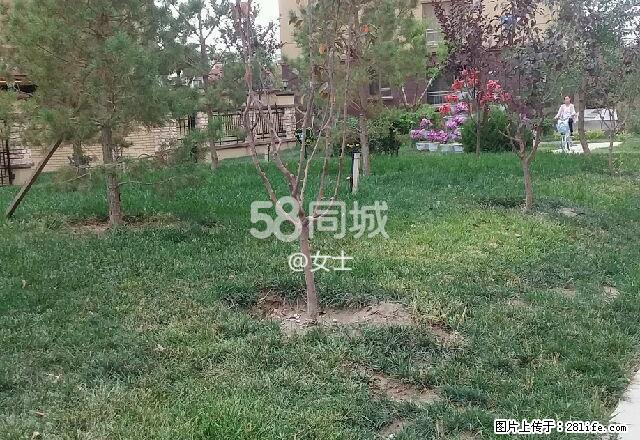 东关楼群 2室2厅1卫 - 房屋出租 - 房屋租售 - 酒泉分类信息 - 酒泉28生活网 jq.28life.net