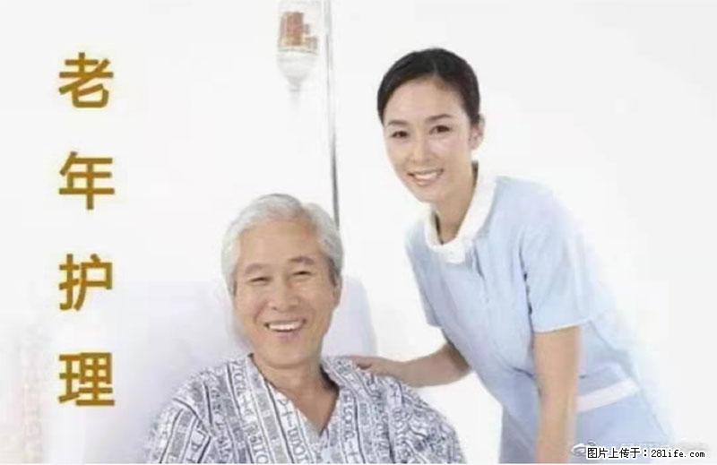 上海国企养老院，星级酒店环境，招聘养老护工 - 职场交流 - 酒泉生活社区 - 酒泉28生活网 jq.28life.net