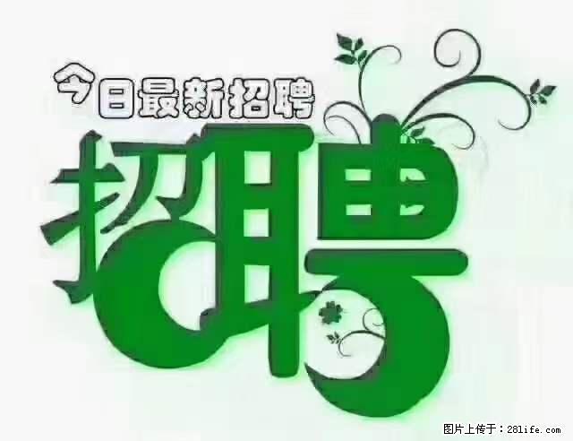 【招聘摄像师】待遇：试用期6000元/月，转正7000元/月+五险一金+餐补+节日福利+奖金 - 其他招聘信息 - 招聘求职 - 酒泉分类信息 - 酒泉28生活网 jq.28life.net
