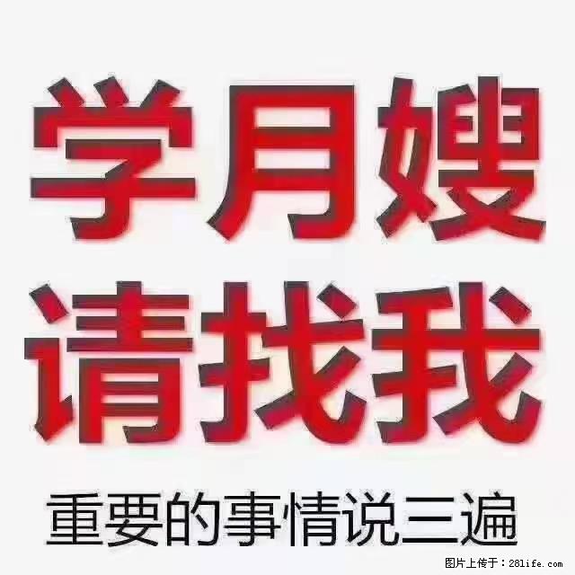 【招聘】月嫂，上海徐汇区 - 职场交流 - 酒泉生活社区 - 酒泉28生活网 jq.28life.net