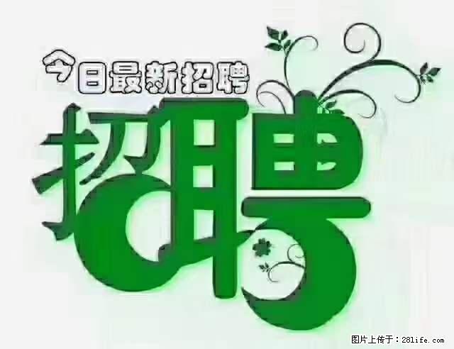 急聘！急聘！上海酒店长期前台，做六休一，每天8小时，6000块钱一月 - 职场交流 - 酒泉生活社区 - 酒泉28生活网 jq.28life.net