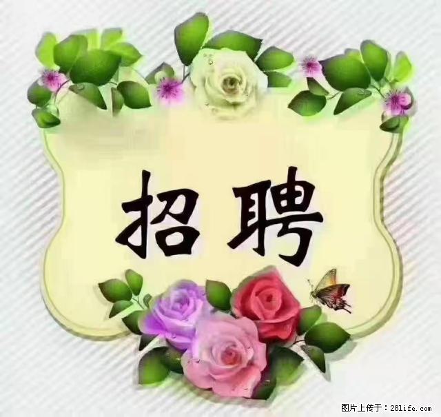 【招聘】住家育儿嫂，上户日期：4月4日，工作地址：上海 黄浦区 - 职场交流 - 酒泉生活社区 - 酒泉28生活网 jq.28life.net