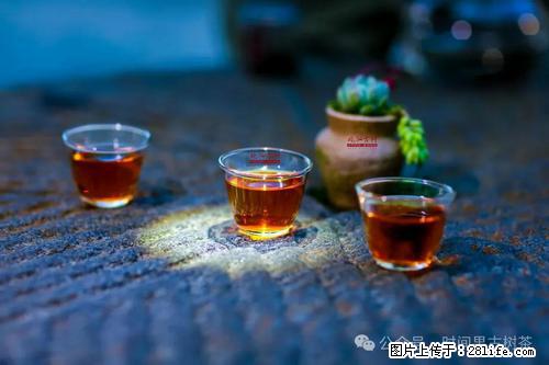 时间果百年古树2025年春红茶 - 购物交流 - 酒泉生活社区 - 酒泉28生活网 jq.28life.net