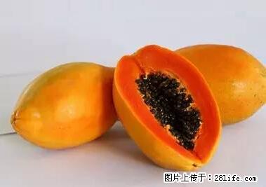 晕车、脚气、牙齿变黄、皮肤粗糙？学会这些三分钟搞定！ - 酒泉生活资讯 - 酒泉28生活网 jq.28life.net
