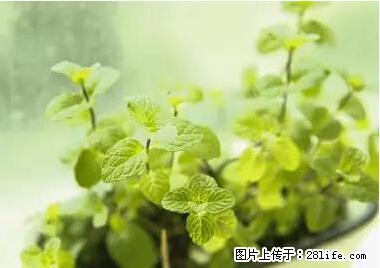 晕车、脚气、牙齿变黄、皮肤粗糙？学会这些三分钟搞定！ - 酒泉生活资讯 - 酒泉28生活网 jq.28life.net