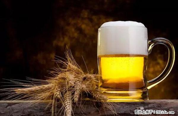 原来它这么毒,然而竟然满大街都是.... - 酒泉生活资讯 - 酒泉28生活网 jq.28life.net