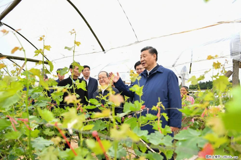 习近平赴广西考察调研 - 酒泉生活资讯 - 酒泉28生活网 jq.28life.net
