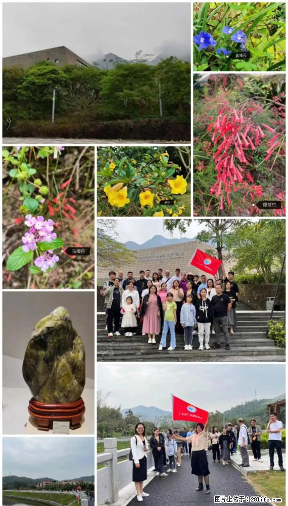 “粤灌文化 美好生活”油茶文化主题活动在广东深圳成功举办 - 酒泉生活资讯 - 酒泉28生活网 jq.28life.net