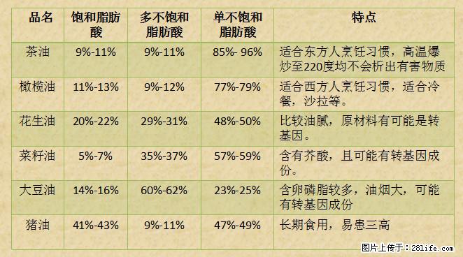 揭秘茶油的5大核心营养成分！被称为人体健康的“守护盾”！ - 酒泉生活资讯 - 酒泉28生活网 jq.28life.net