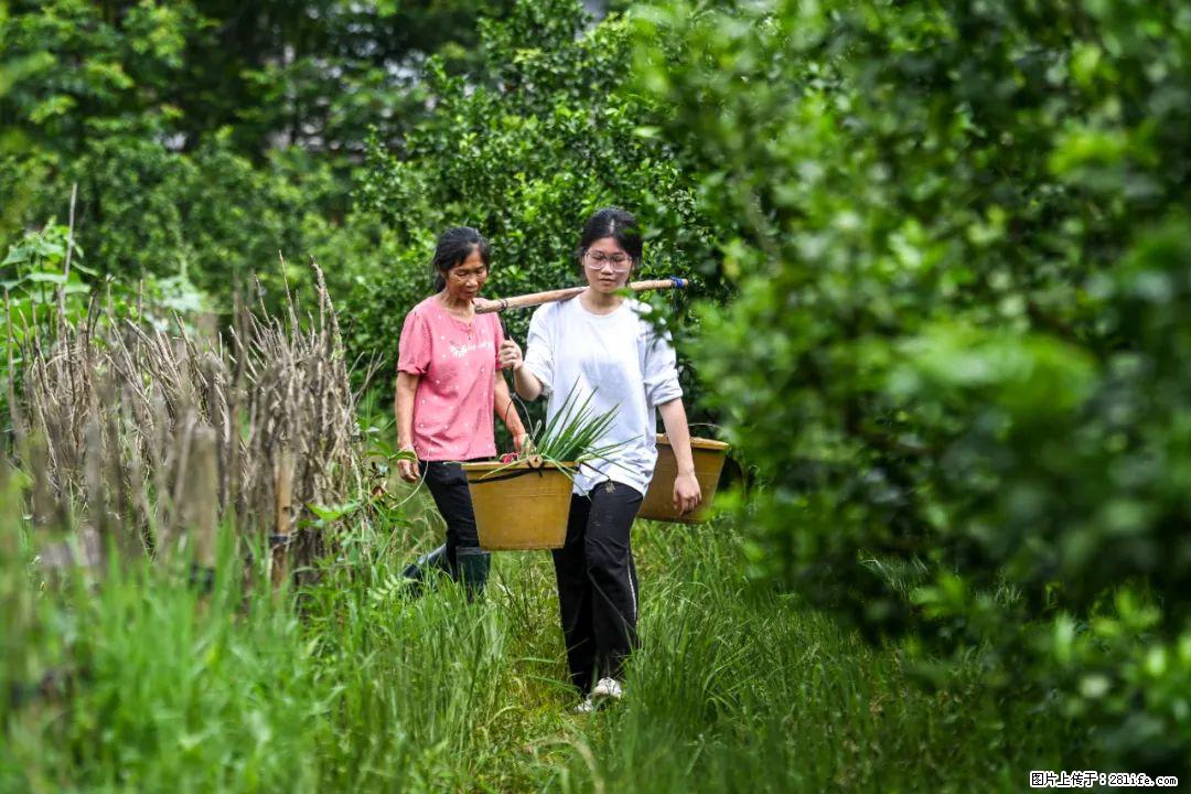全网追的“扁担女孩”,找了一份暑假工,时薪12元 - 酒泉生活资讯 - 酒泉28生活网 jq.28life.net