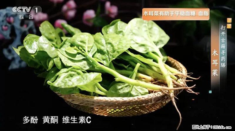 比牛奶补钙还厉害!凉血解毒、稳血糖...这菜冬天必吃,很多人却当草 - 酒泉生活资讯 - 酒泉28生活网 jq.28life.net