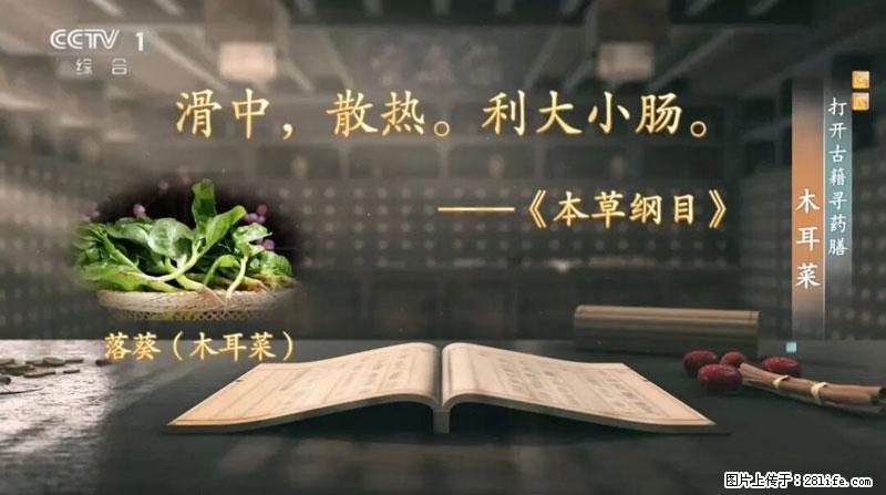 比牛奶补钙还厉害!凉血解毒、稳血糖...这菜冬天必吃,很多人却当草 - 酒泉生活资讯 - 酒泉28生活网 jq.28life.net