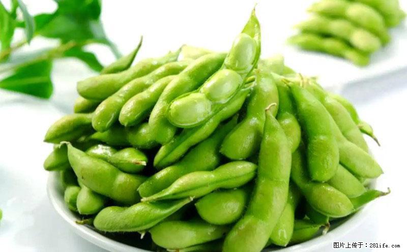 这些蔬菜是“天然钙片”，这6种被医生重点推荐 - 酒泉生活资讯 - 酒泉28生活网 jq.28life.net