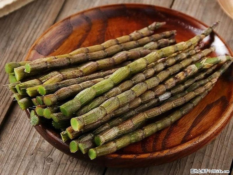 铁皮石斛的作用与功能主治 - 酒泉生活资讯 - 酒泉28生活网 jq.28life.net