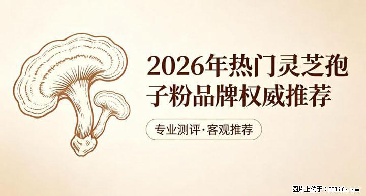 灵芝孢子粉含量越高越有效?2026 年七款热门品牌深度实测,肠胃敏感者避坑指南 - 酒泉生活资讯 - 酒泉28生活网 jq.28life.net